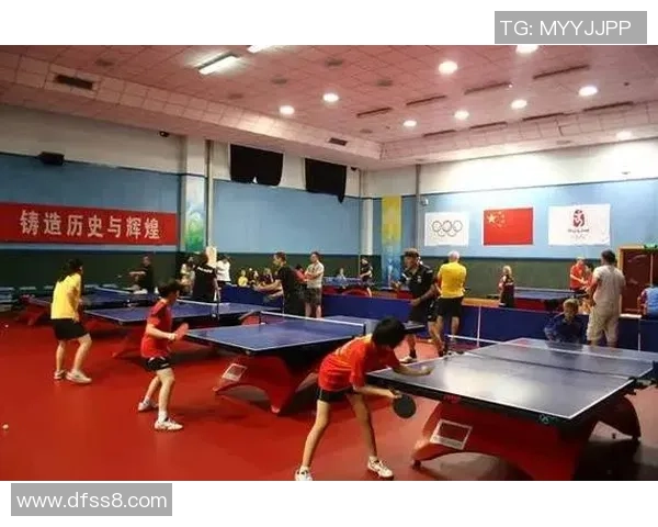 乒乓球盛宴：深入了解上海乒乓球队的训练与比赛节奏