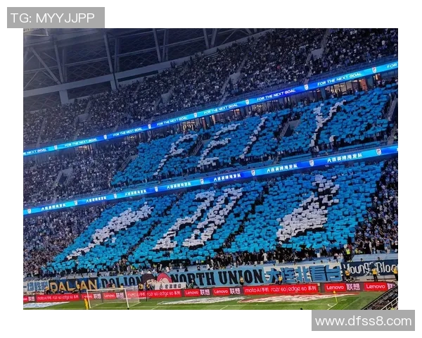 大龙足球明星最新阵容揭晓球迷期待新赛季精彩表现